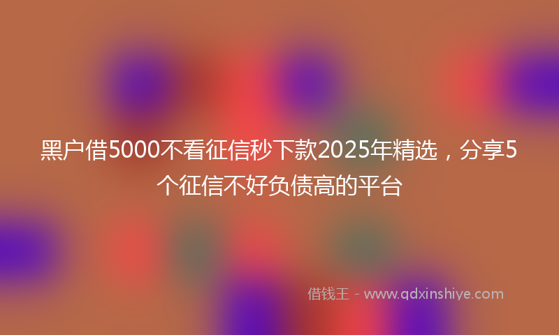 黑户借5000不看征信秒下款2025年精选，分享5个征信不好负债高的平台