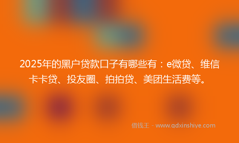 2025年的黑户贷款口子有哪些有：e微贷、维信卡卡贷、投友圈、拍拍贷、美团生活费等。