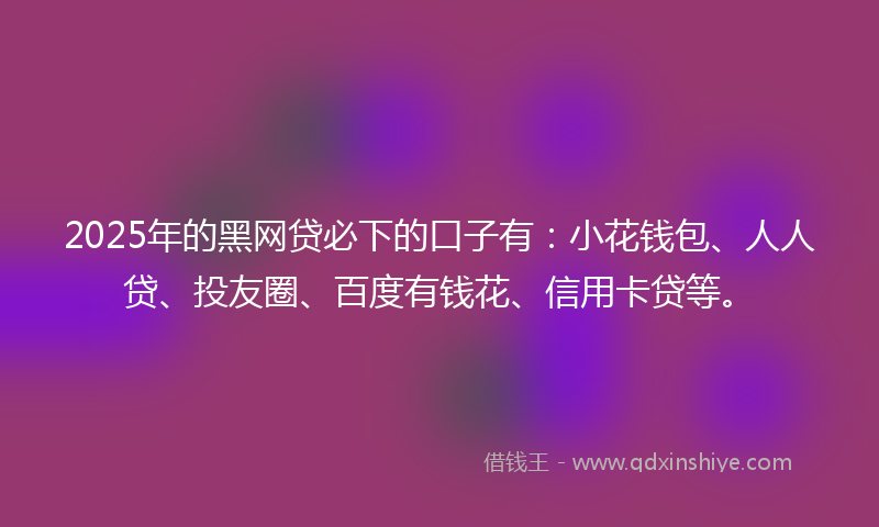 2025年的黑网贷必下的口子有：小花钱包、人人贷、投友圈、百度有钱花、信用卡贷等。