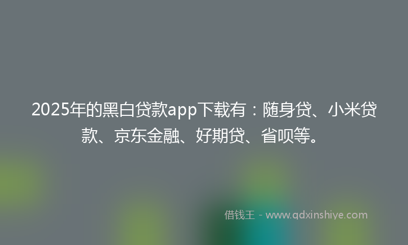 2025年的黑白贷款app下载有：随身贷、小米贷款、京东金融、好期贷、省呗等。