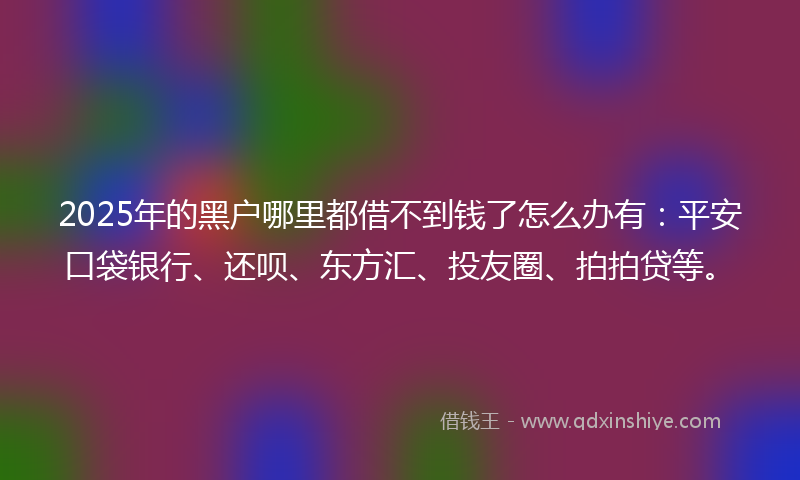 2025年的黑户哪里都借不到钱了怎么办有：平安口袋银行、还呗、东方汇、投友圈、拍拍贷等。