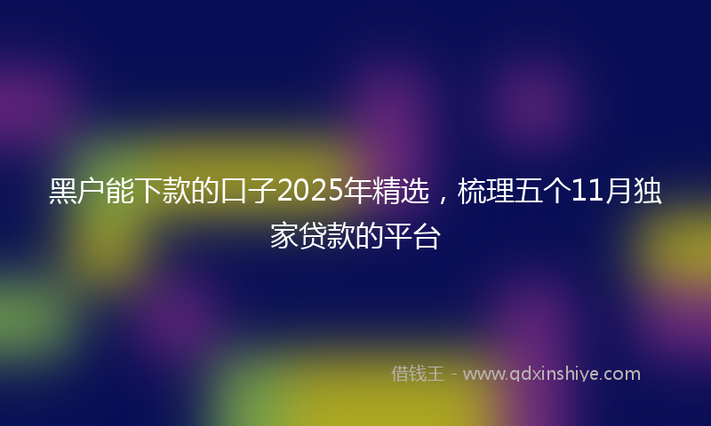 黑户能下款的口子2025年精选，梳理五个11月独家贷款的平台