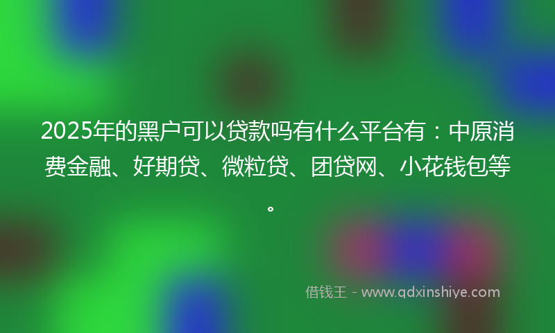 2025年的黑户可以贷款吗有什么平台有：中原消费金融、好期贷、微粒贷、团贷网、小花钱包等。