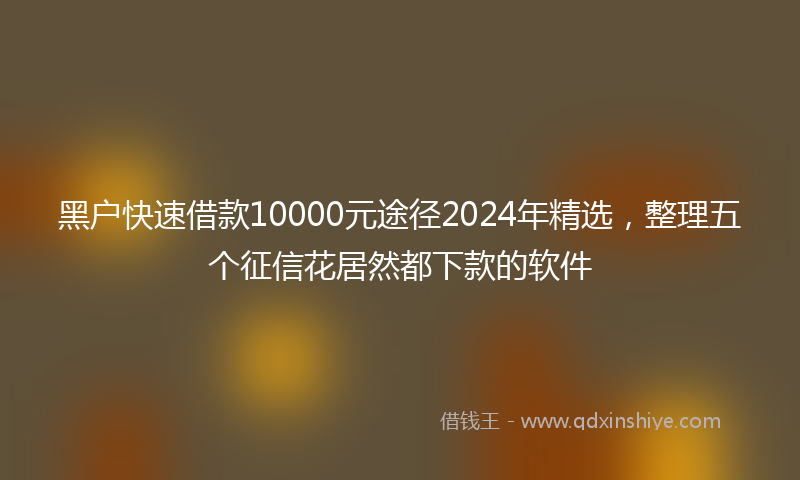 黑户快速借款10000元途径2024年精选，整理五个征信花居然都下款的软件
