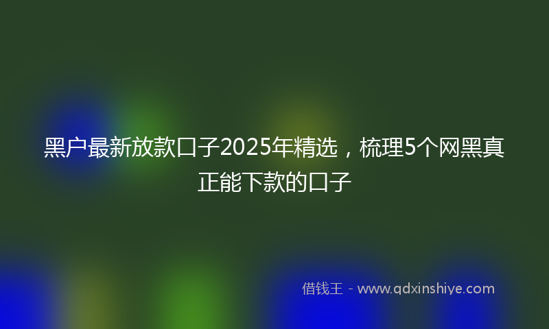 黑户最新放款口子2025年精选，梳理5个网黑真正能下款的口子