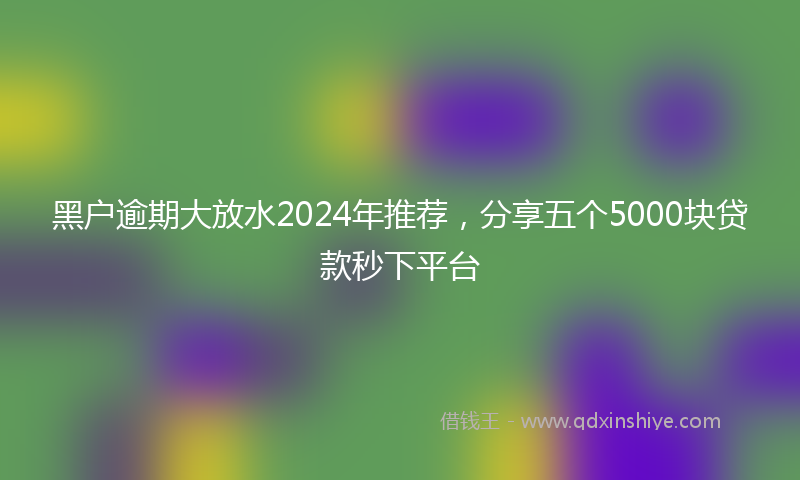 黑户逾期大放水2024年推荐，分享五个5000块贷款秒下平台