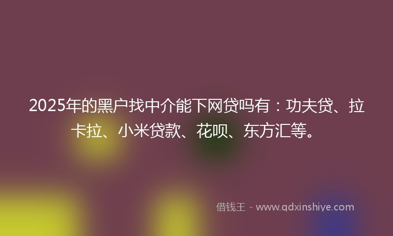 2025年的黑户找中介能下网贷吗有：功夫贷、拉卡拉、小米贷款、花呗、东方汇等。