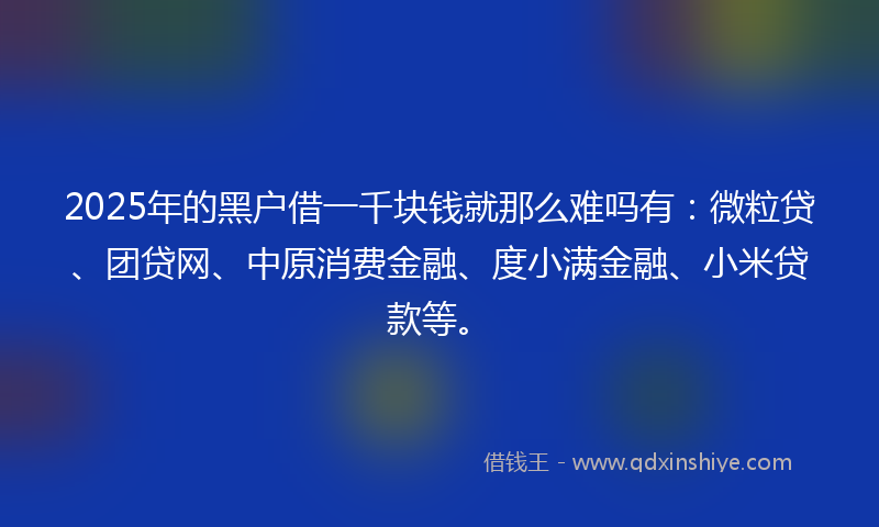 2025年的黑户借一千块钱就那么难吗有：微粒贷、团贷网、中原消费金融、度小满金融、小米贷款等。
