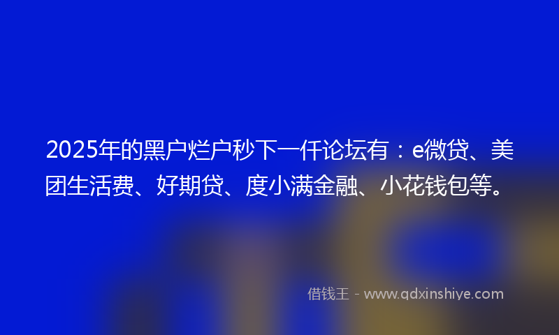 2025年的黑户烂户秒下一仟论坛有：e微贷、美团生活费、好期贷、度小满金融、小花钱包等。