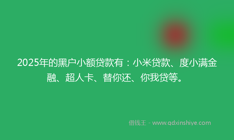 2025年的黑户小额贷款有：小米贷款、度小满金融、超人卡、替你还、你我贷等。