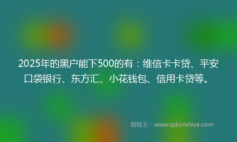 2025年的黑户能下500的有：维信卡卡贷、平安口袋银行、东方汇、小花钱包、信用卡贷等。
