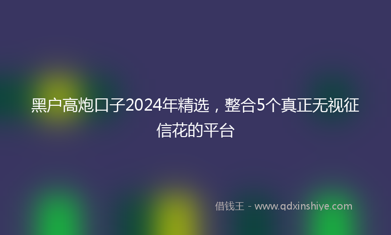 黑户高炮口子2024年精选，整合5个真正无视征信花的平台