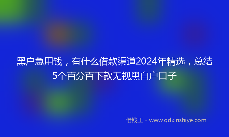 黑户急用钱,有什么借款渠道2024年精选,总结5个百分百下款无视黑白户口子
