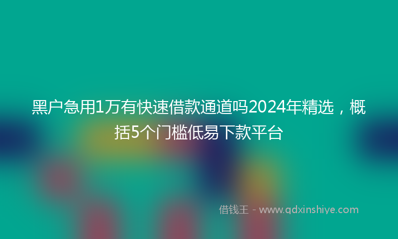 黑户急用1万有快速借款通道吗2024年精选，概括5个门槛低易下款平台