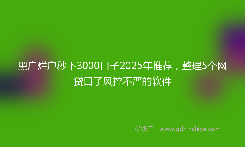 黑户烂户秒下3000口子2025年推荐，整理5个网贷口子风控不严的软件