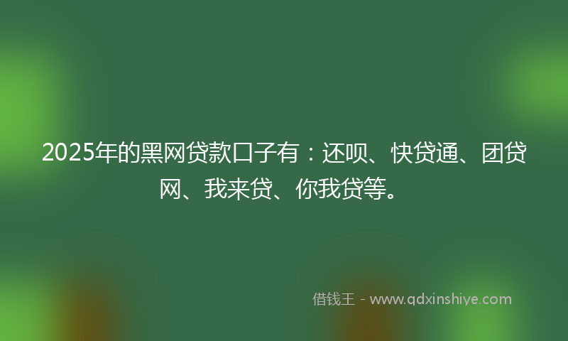 2025年的黑网贷款口子有：还呗、快贷通、团贷网、我来贷、你我贷等。