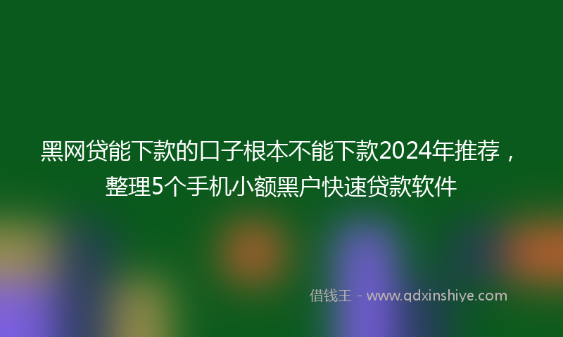 黑网贷能下款的口子根本不能下款2024年推荐，整理5个手机小额黑户快速贷款软件