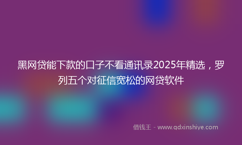 黑网贷能下款的口子不看通讯录2025年精选，罗列五个对征信宽松的网贷软件