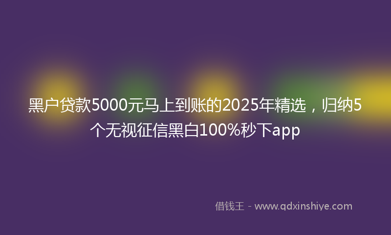 黑户贷款5000元马上到账的2025年精选，归纳5个无视征信黑白100%秒下app