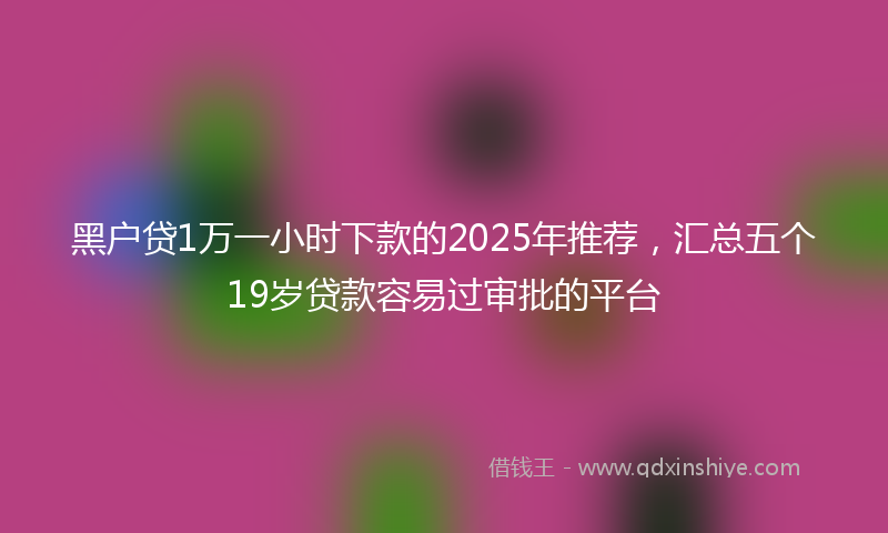 黑户贷1万一小时下款的2025年推荐，汇总五个19岁贷款容易过审批的平台