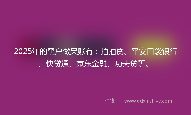 2025年的黑户做呆账有：拍拍贷、平安口袋银行、快贷通、京东金融、功夫贷等。