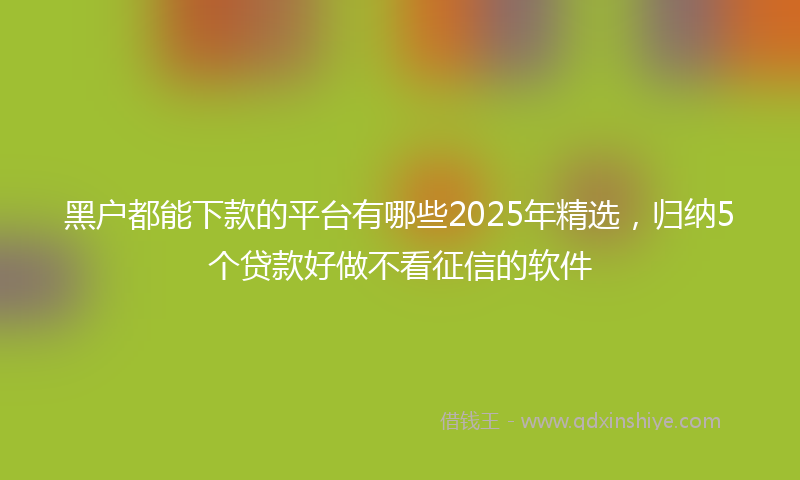 黑户都能下款的平台有哪些2025年精选，归纳5个贷款好做不看征信的软件