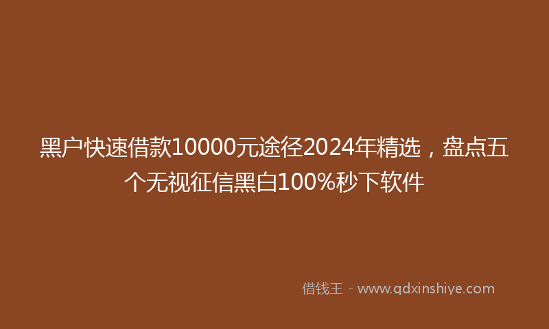 黑户快速借款10000元途径2024年精选，盘点五个无视征信黑白100%秒下软件
