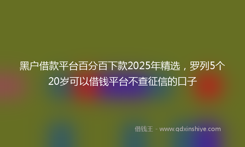 黑户借款平台百分百下款2025年精选，罗列5个20岁可以借钱平台不查征信的口子