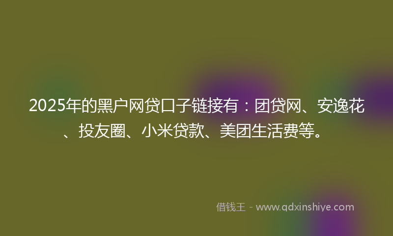 2025年的黑户网贷口子链接有：团贷网、安逸花、投友圈、小米贷款、美团生活费等。