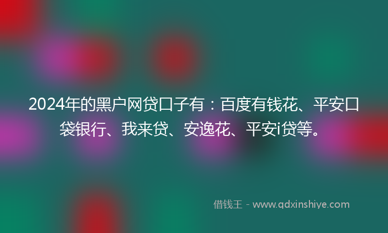 2024年的黑户网贷口子有：百度有钱花、平安口袋银行、我来贷、安逸花、平安i贷等。