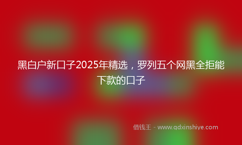 黑白户新口子2025年精选，罗列五个网黑全拒能下款的口子