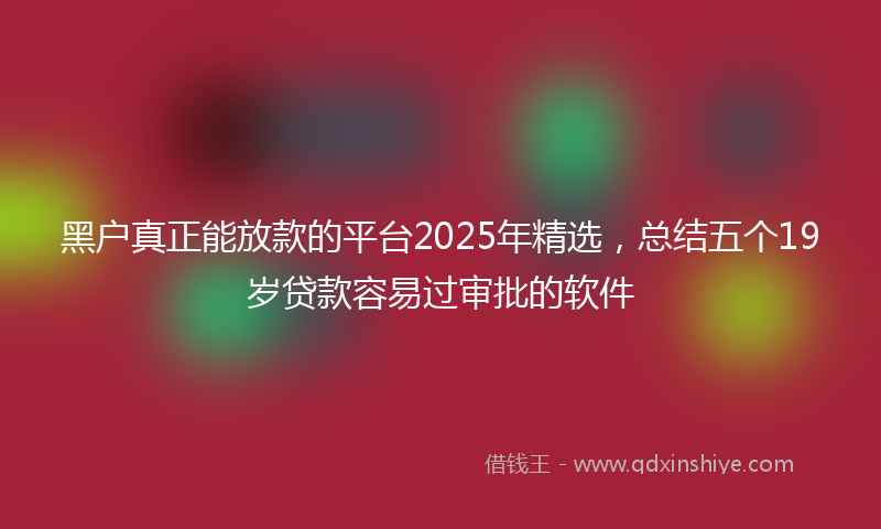 黑户真正能放款的平台2025年精选，总结五个19岁贷款容易过审批的软件