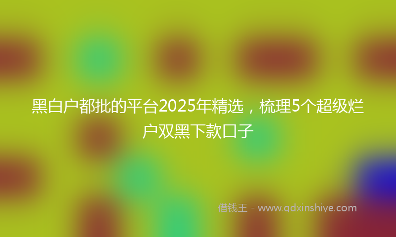 黑白户都批的平台2025年精选，梳理5个超级烂户双黑下款口子