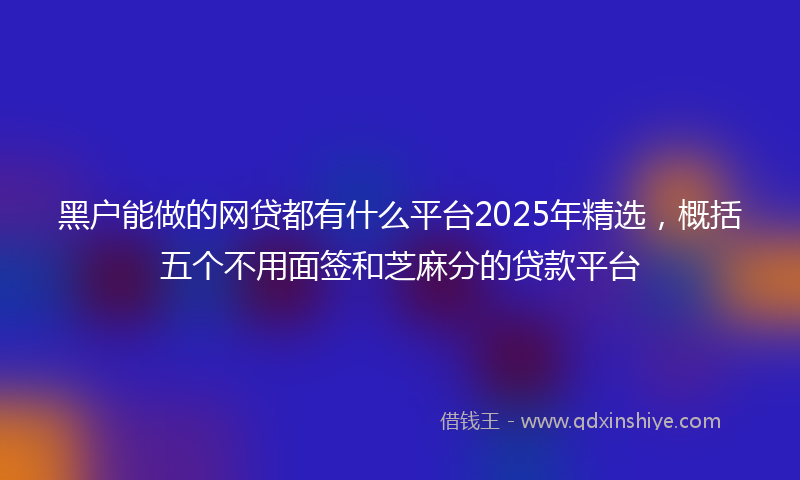 黑户能做的网贷都有什么平台2025年精选，概括五个不用面签和芝麻分的贷款平台