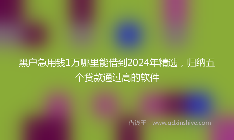 黑户急用钱1万哪里能借到2024年精选，归纳五个贷款通过高的软件