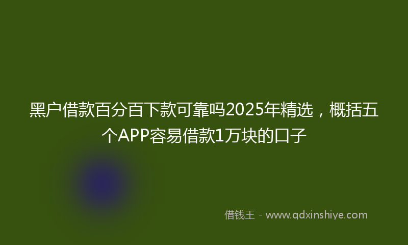 黑户借款百分百下款可靠吗2025年精选，概括五个APP容易借款1万块的口子