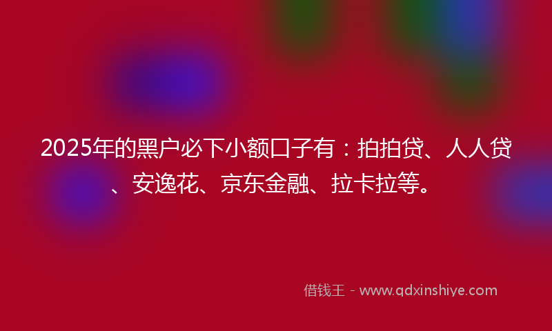 2025年的黑户必下小额口子有：拍拍贷、人人贷、安逸花、京东金融、拉卡拉等。