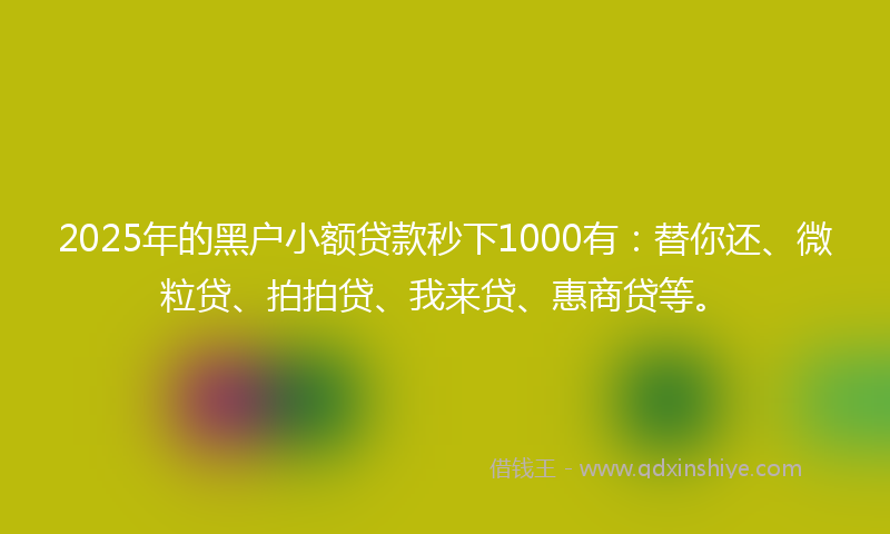 2025年的黑户小额贷款秒下1000有：替你还、微粒贷、拍拍贷、我来贷、惠商贷等。