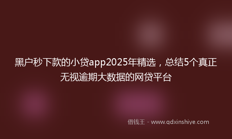 黑户秒下款的小贷app2025年精选，总结5个真正无视逾期大数据的网贷平台