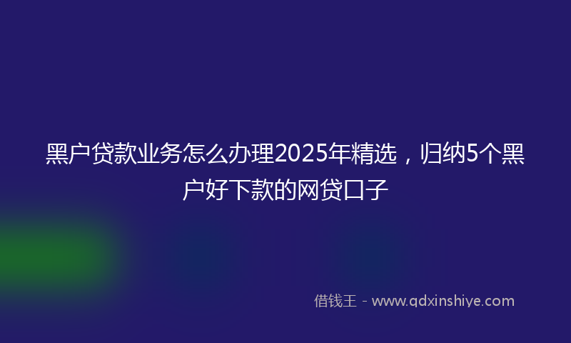黑户贷款业务怎么办理2025年精选，归纳5个黑户好下款的网贷口子