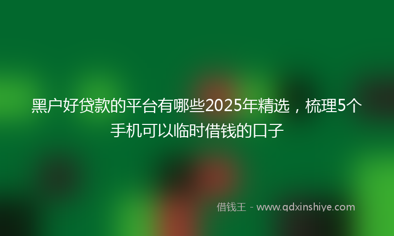 黑户好贷款的平台有哪些2025年精选，梳理5个手机可以临时借钱的口子