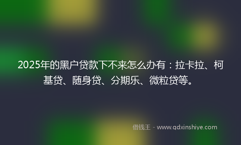 2025年的黑户贷款下不来怎么办有：拉卡拉、柯基贷、随身贷、分期乐、微粒贷等。