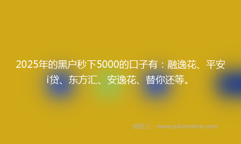 2025年的黑户秒下5000的口子有：融逸花、平安i贷、东方汇、安逸花、替你还等。