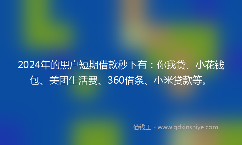 2024年的黑户短期借款秒下有：你我贷、小花钱包、美团生活费、360借条、小米贷款等。
