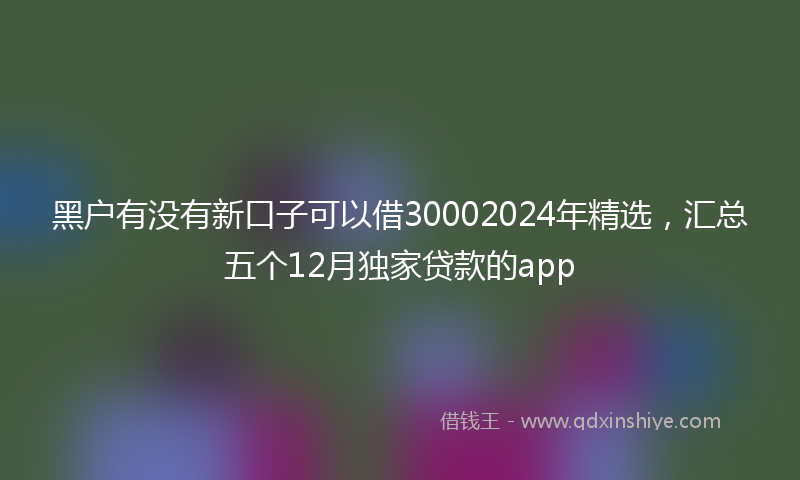 黑户有没有新口子可以借30002024年精选，汇总五个12月独家贷款的app