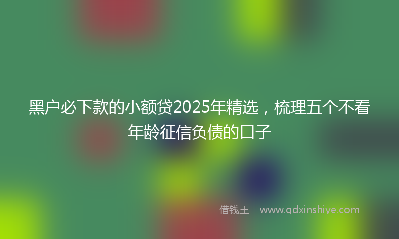 黑户必下款的小额贷2025年精选，梳理五个不看年龄征信负债的口子