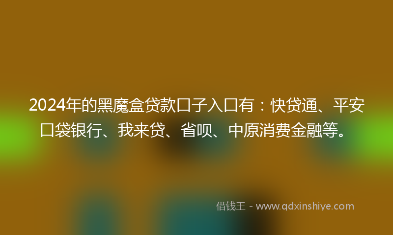 2024年的黑魔盒贷款口子入口有：快贷通、平安口袋银行、我来贷、省呗、中原消费金融等。