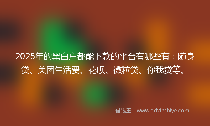 2025年的黑白户都能下款的平台有哪些有：随身贷、美团生活费、花呗、微粒贷、你我贷等。