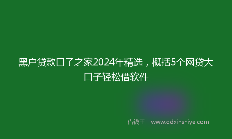 黑户贷款口子之家2024年精选，概括5个网贷大口子轻松借软件