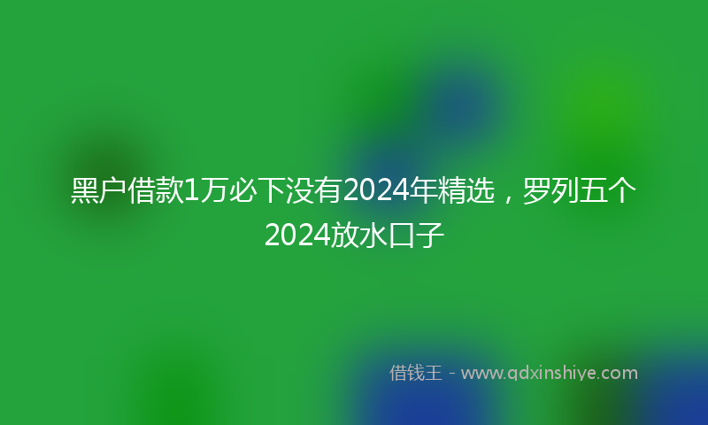 黑户借款1万必下没有2024年精选，罗列五个2024放水口子